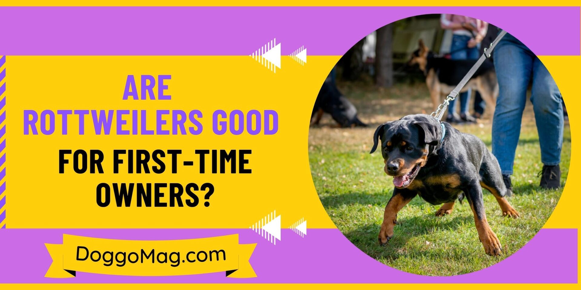 Are Rottweilers Good For First-Time Owners