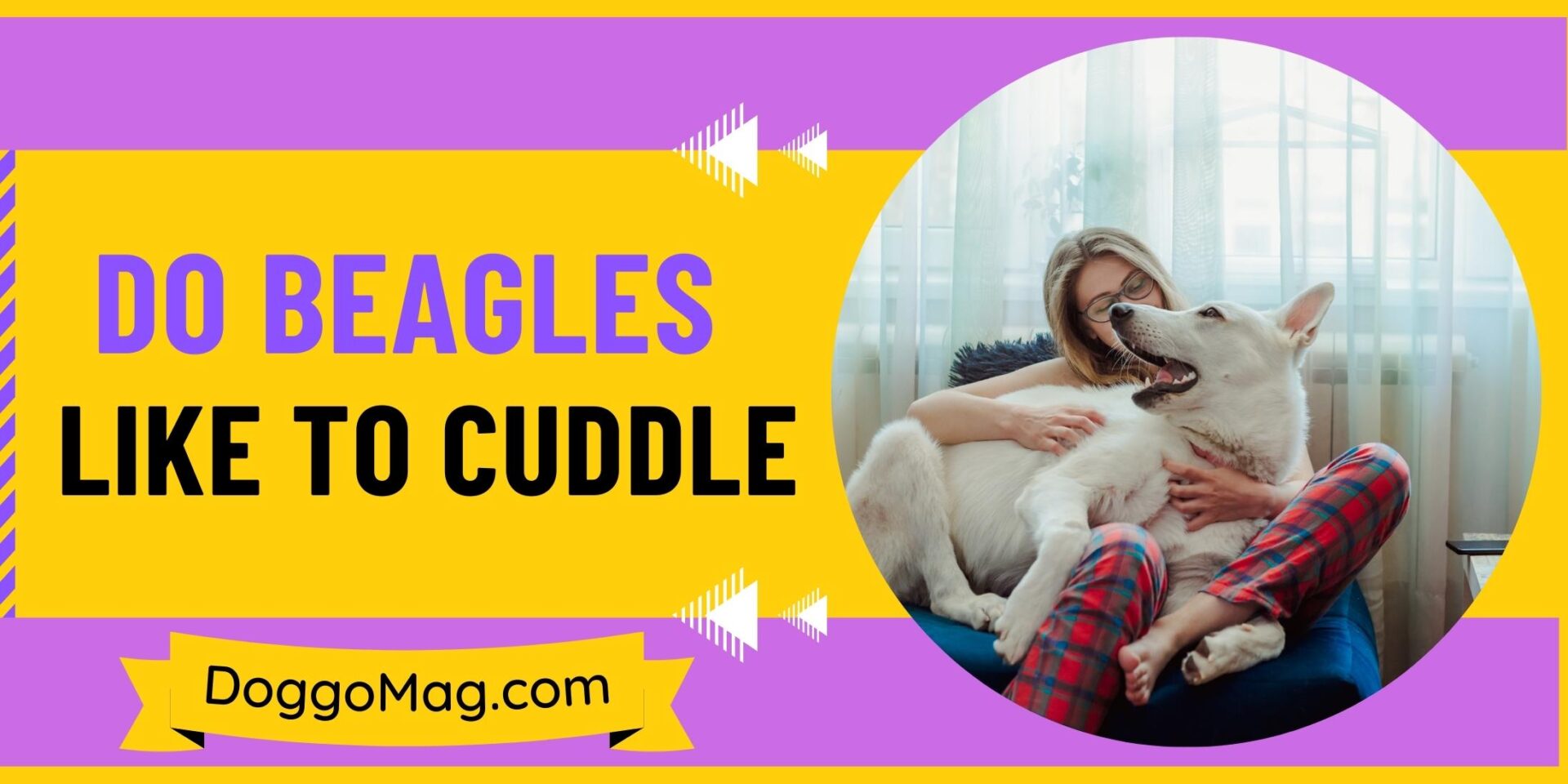 Do Beagles Like To Cuddle