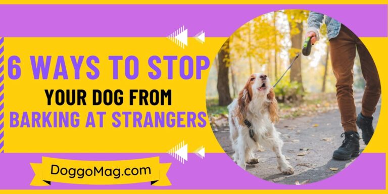 How To Stop Dogs From Barking At Strangers? [6 Ways]