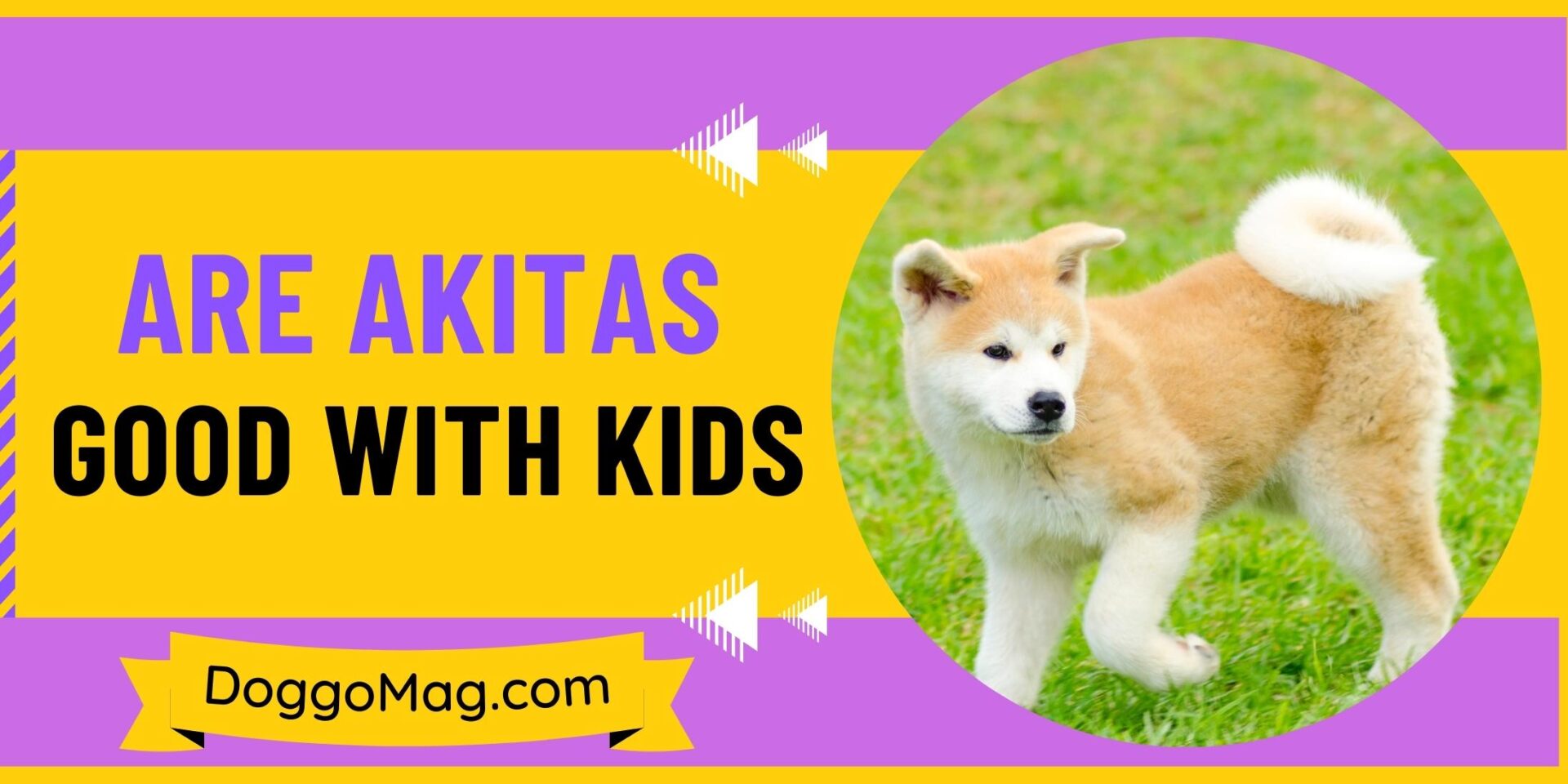 Are Akitas Good With Kids
