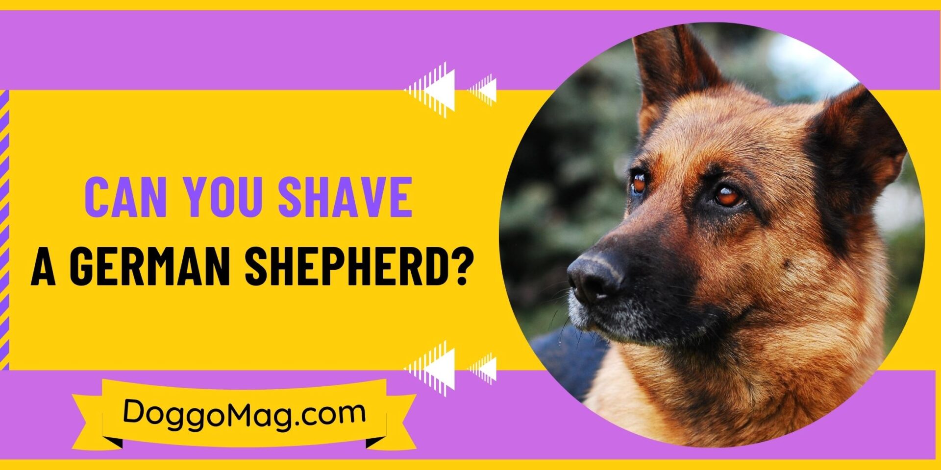 Can You Shave A German Shepherd