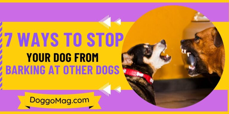 How To Stop Your Dog From Barking At Other Dogs? [6 Painless Methods]