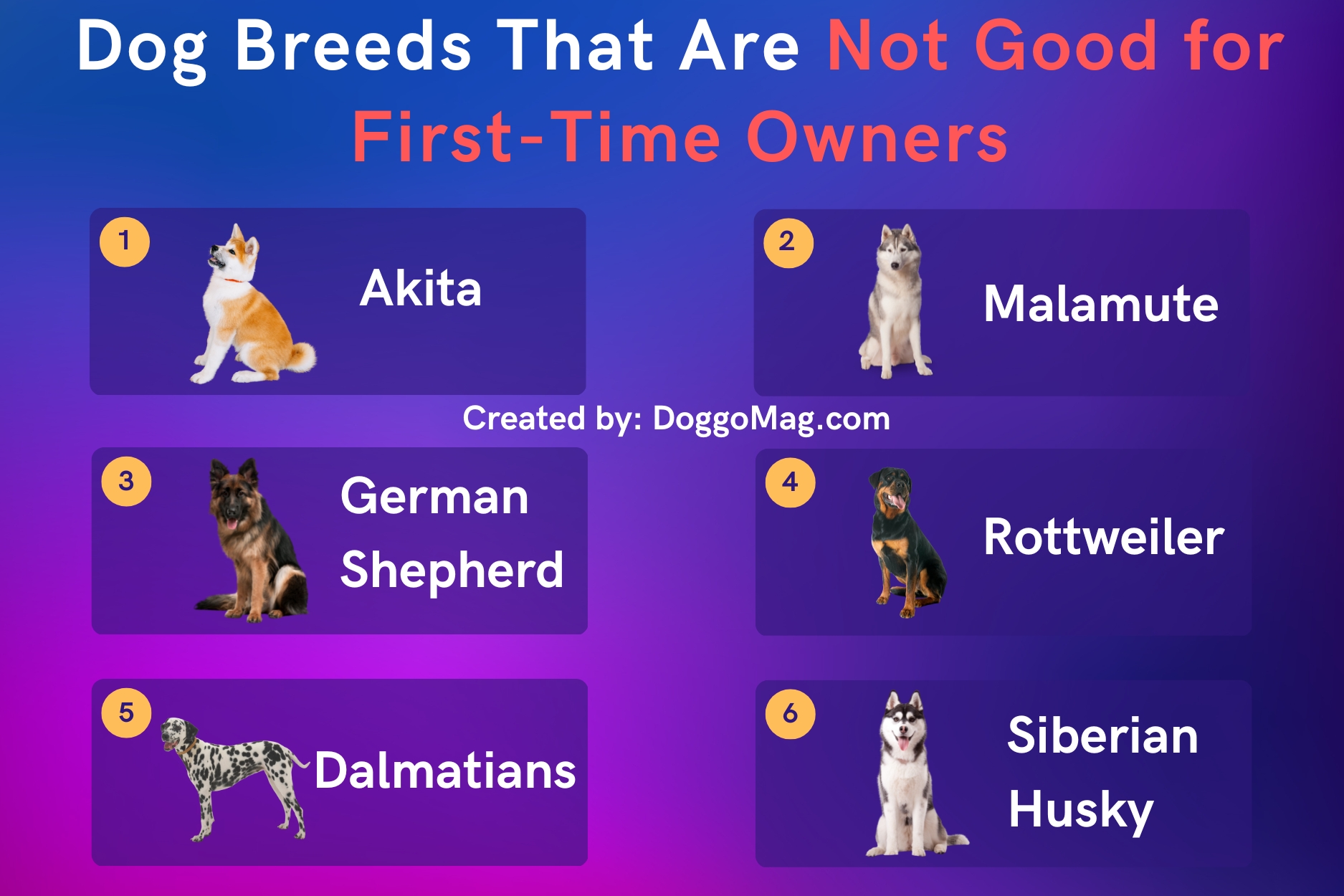 15 EasyGoing Dog Breeds For FirstTime Owners DoggoMag