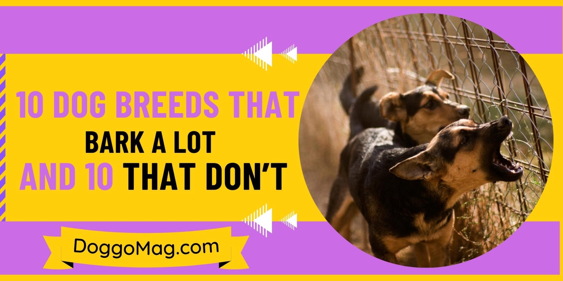 Dog Breeds That Bark A Lot And That Don’t