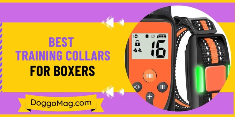 I Tried 7 different training collars for my Boxers and achieved fantastic results