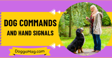Dog Commands And Hand Signals