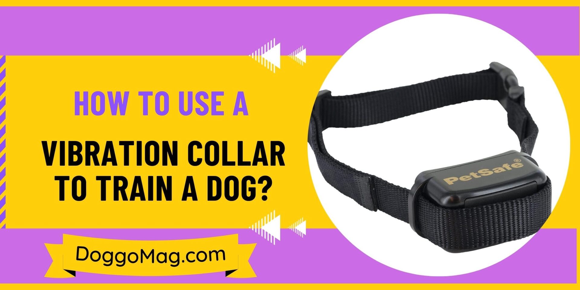 How To Use A Vibration Collar To Train A Dog