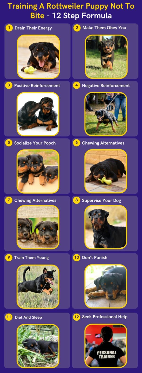 How To Train A Rottweiler Puppy Not To Bite? 12 Step Formula - DoggoMag