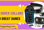 Shock Collar for great Danes