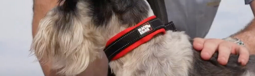 Black Rhino Dog Collar for Sensitive Skin Durable Fabric
