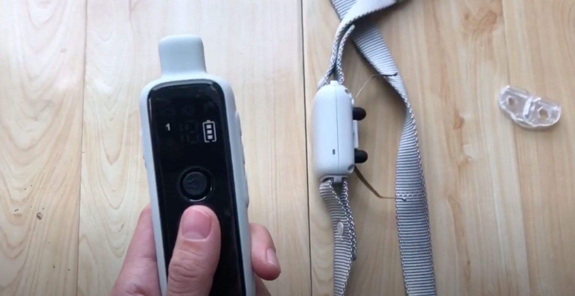 7 Best Shock Collars For LongHaired Dogs [July 2023] DoggoMag