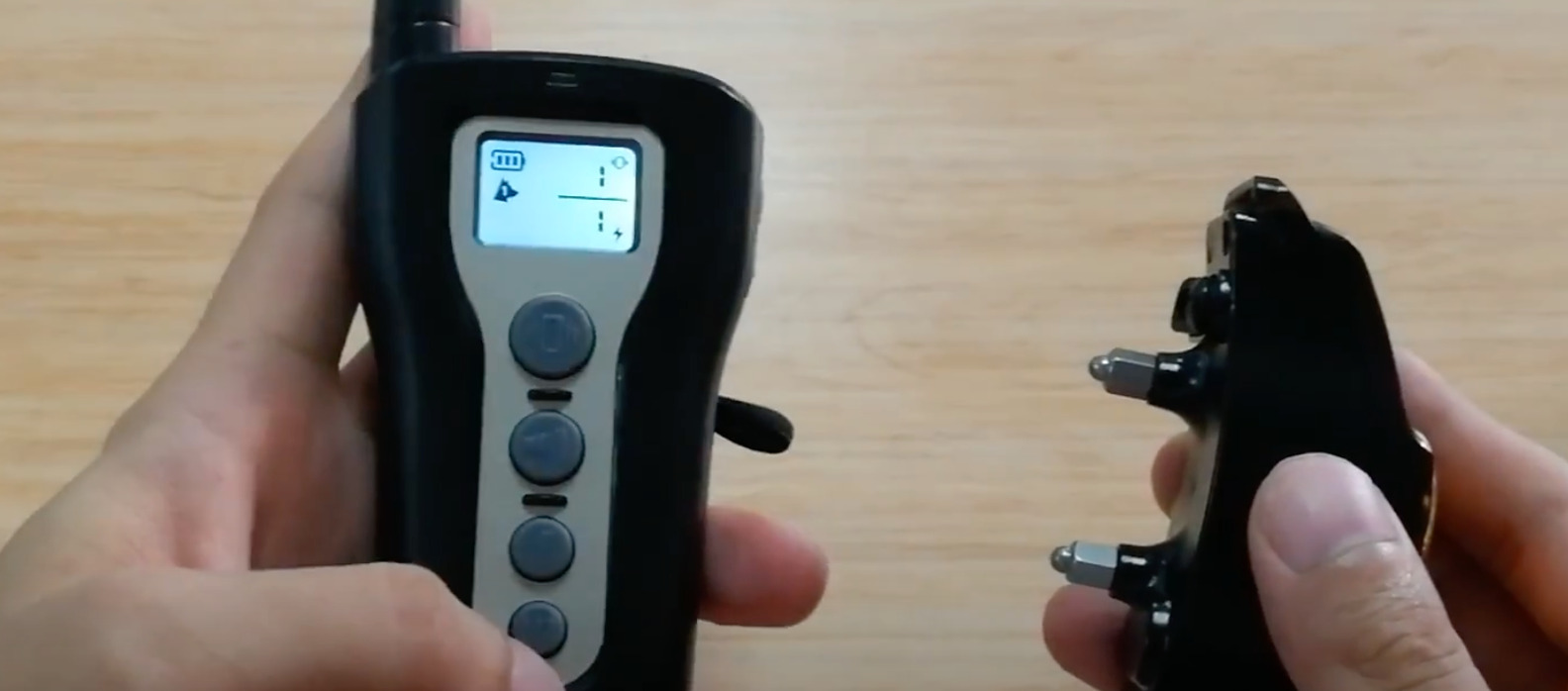 9 Best Training/Shock Collars for Great Danes [Oct 2023] DoggoMag