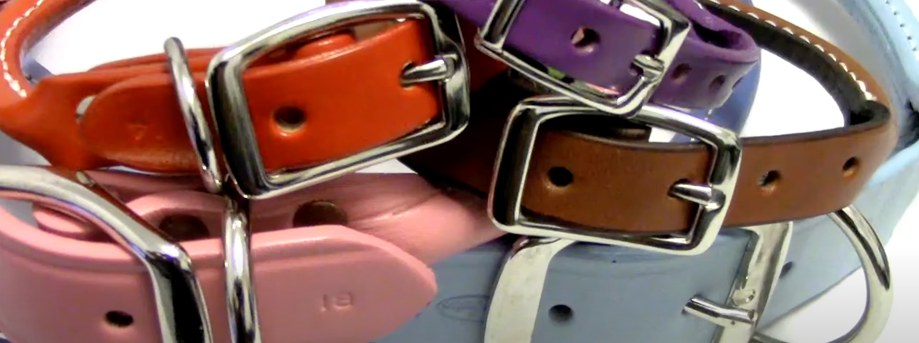 7 Best Dog Collars to Prevent Hair Loss [Oct 2023] DoggoMag