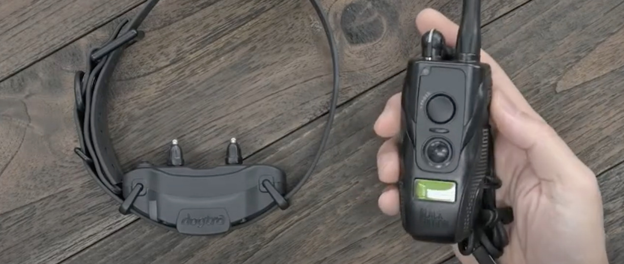 7 Best Shock Collars for Hunting Dogs [July 2023] DoggoMag