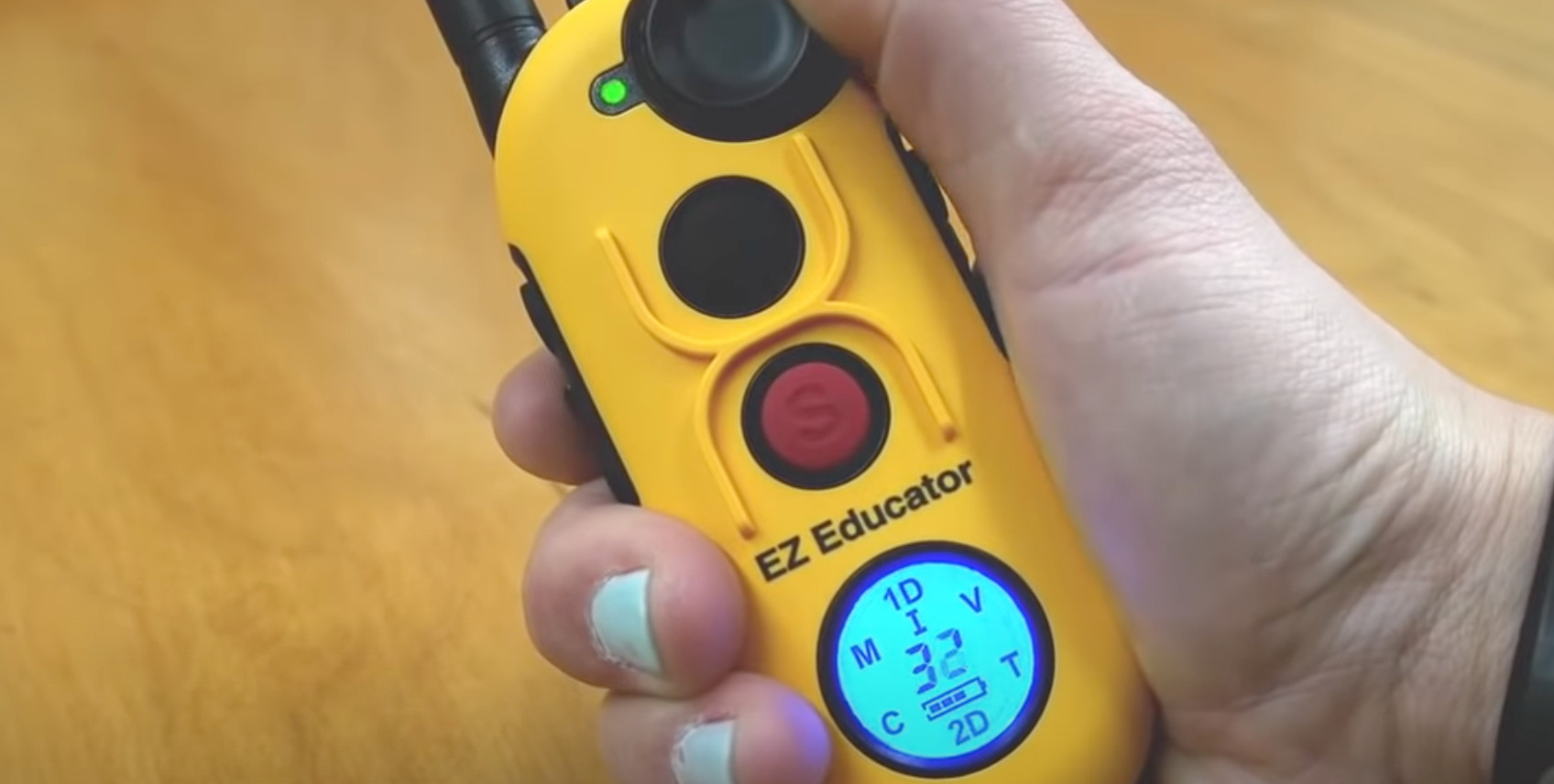 7 Best Training/Shock Collars for Rottweilers [Aug 2023] DoggoMag