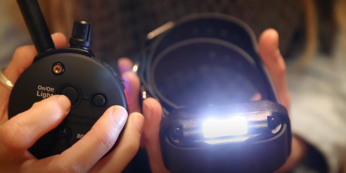 7 Best Shock/Training Collars for German Shepherds [Oct 2023] DoggoMag