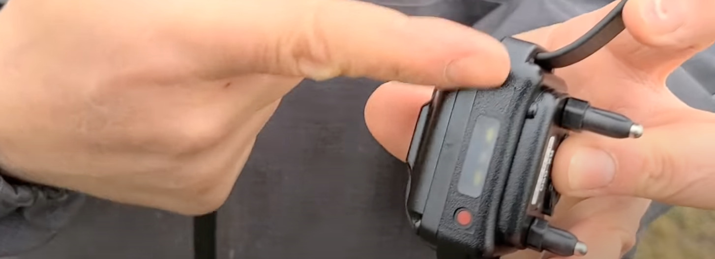 9 Best Training/Shock Collars for Great Danes [Oct 2023] DoggoMag