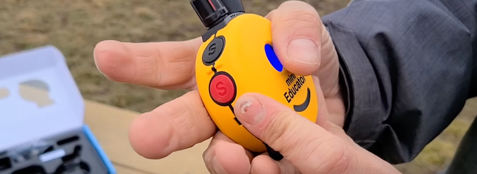 9 Best Training/Shock Collars for Great Danes [Oct 2023] DoggoMag