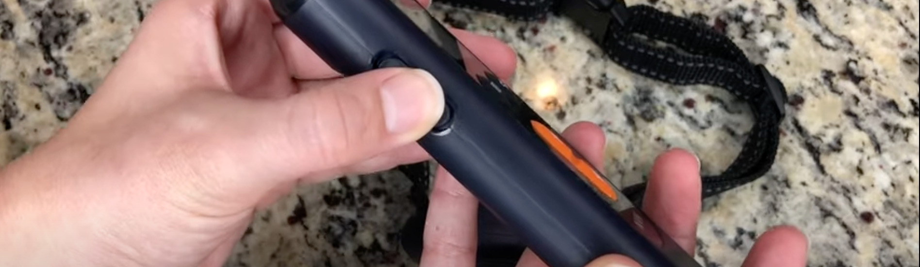 7 Best Collars for Dobermans [Oct 2023] DoggoMag