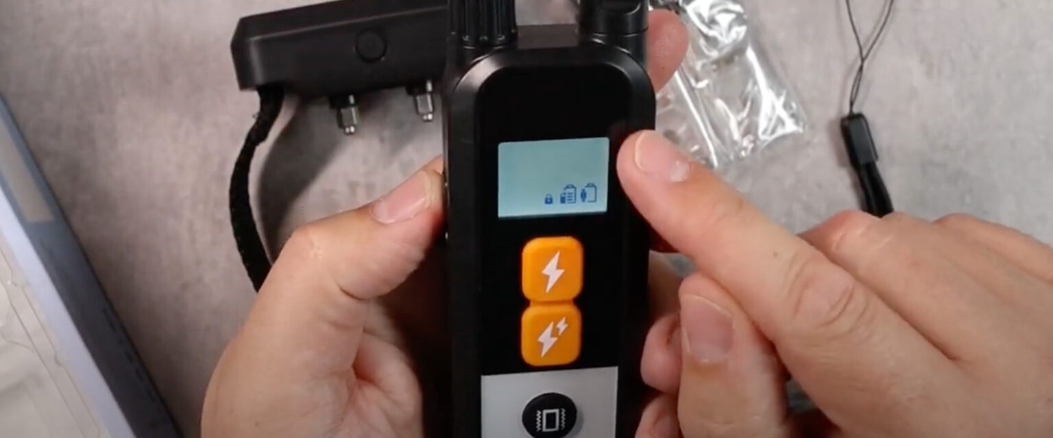 7 Best Shock Collars For LongHaired Dogs [July 2023] DoggoMag