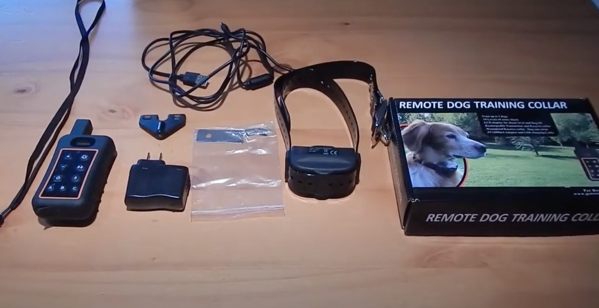 7 Best (Reliable) Training/Shock Collars for English Bulldogs DoggoMag