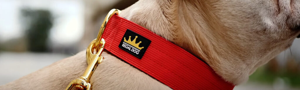 Regal Best Collar to Prevent Hair Loss Pulling On The Leash Test