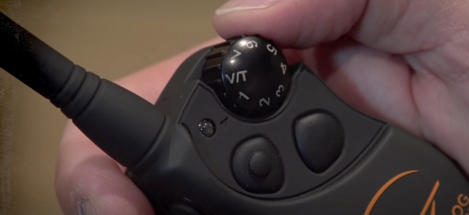 7 Best Collars For Dobermans [July 2023] DoggoMag