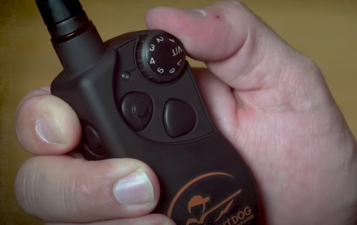 7 Best Shock Collars for Hunting Dogs [July 2023] DoggoMag