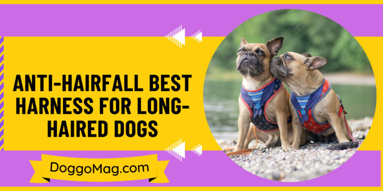 5 Anti-Hairfall Best Harness For Long-Haired Dogs in 2024
