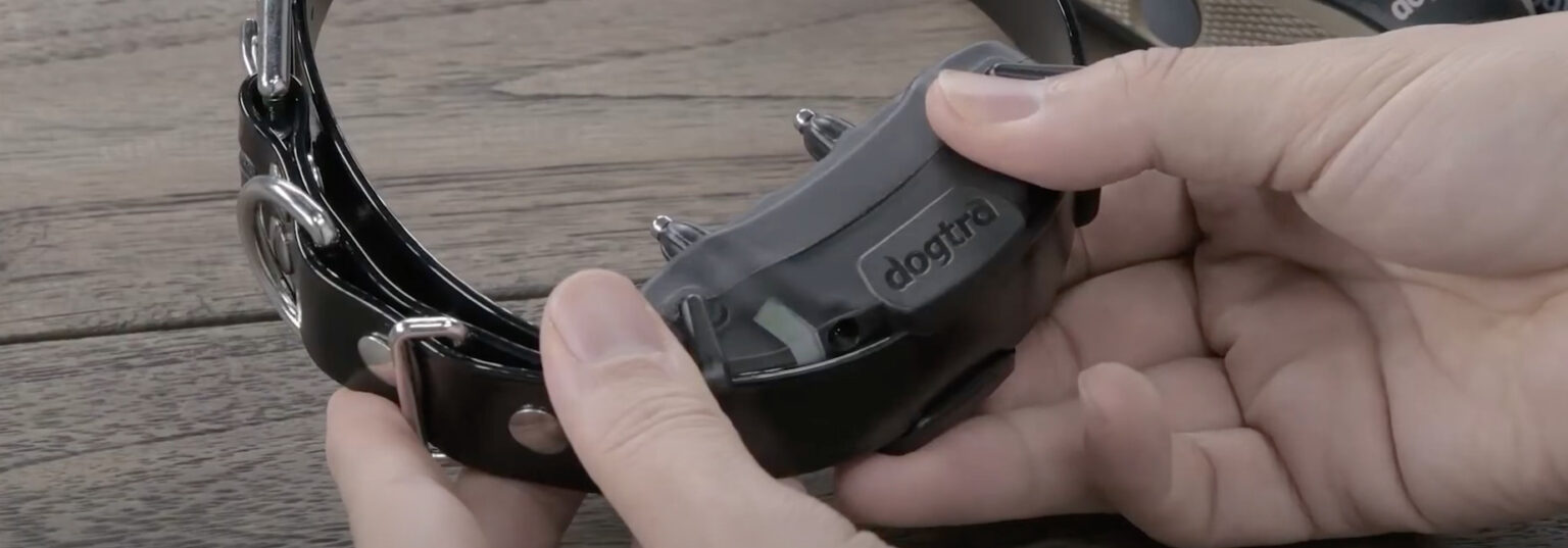 10 Best Powerful/Strongest Shock Collars For Dogs [June 2023] DoggoMag