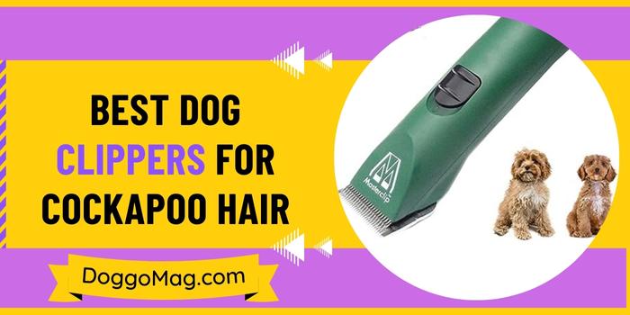 Best Dog Clippers For Cockapoo Hair