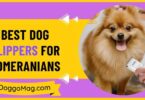 Best Dog Clippers For Pomeranians