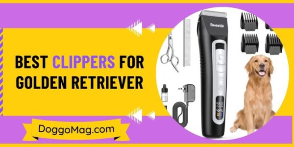 Photo inspiration: Gallery Detail: 7 Best Dog Clippers By A Professional Groomer In 2024