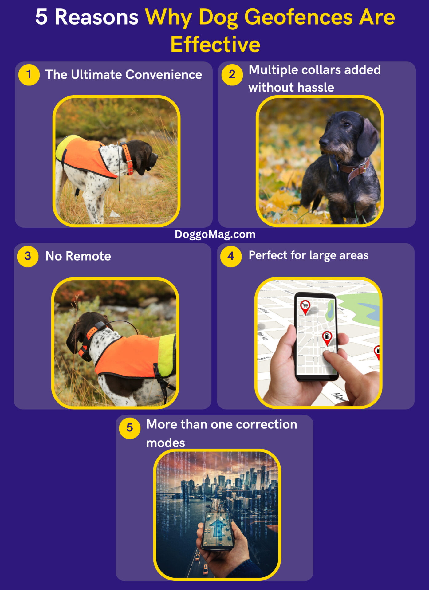 Are GPS Dog Fences Effective? 4 Remarkable Reasons Why They Are DoggoMag