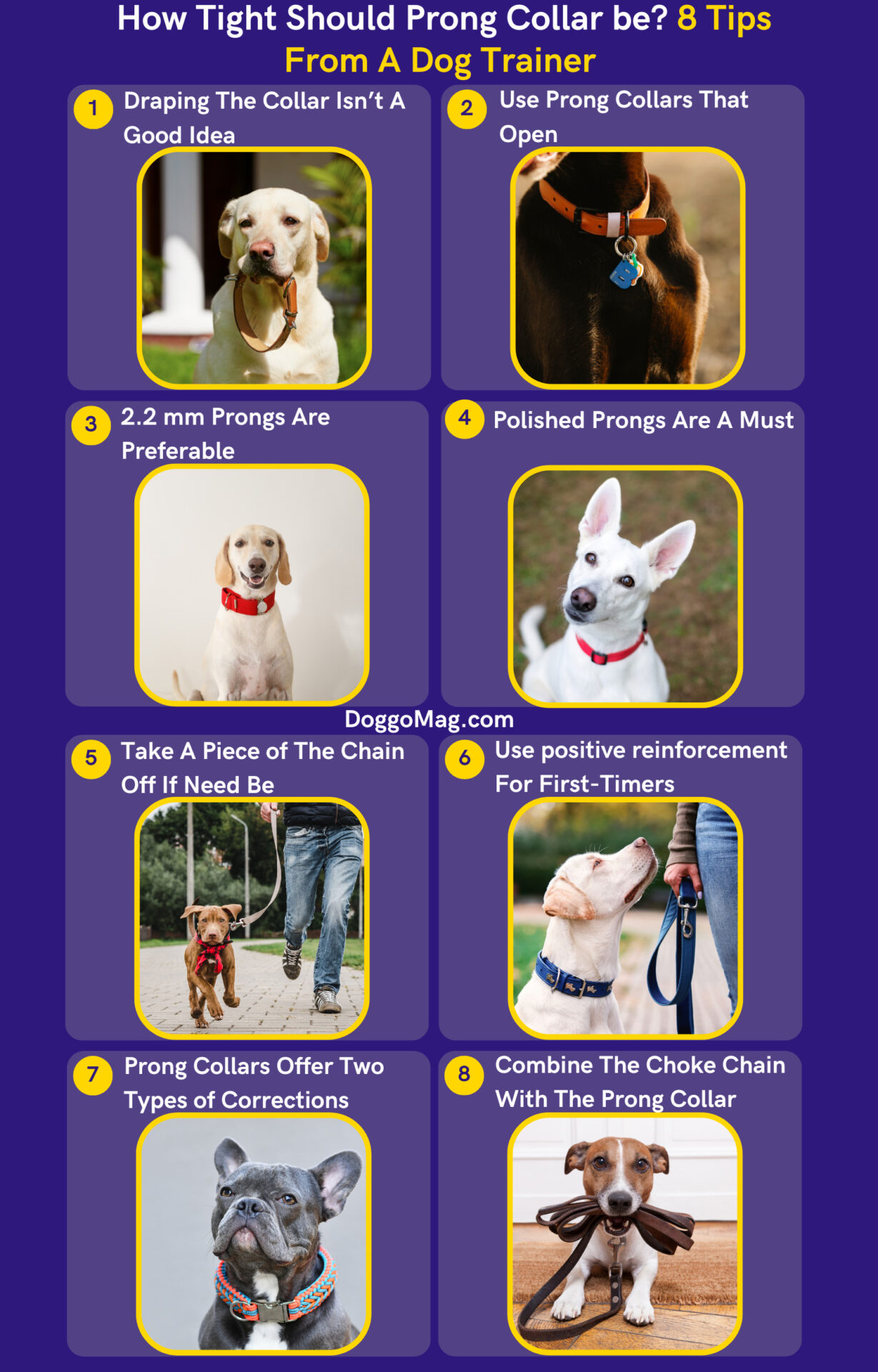 How Tight Should Prong Collar be? 8 Tips From A Dog Trainer DoggoMag